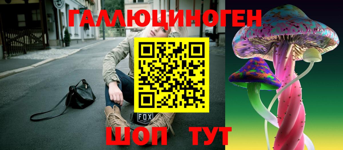 Гуково  Псилоцибиновые грибы прущие грибы  Вход с VPN 